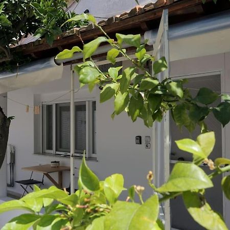 Stamatis Apartment Agios Georgios  Zewnętrze zdjęcie